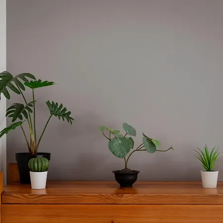 Apartment Charming 1bd In